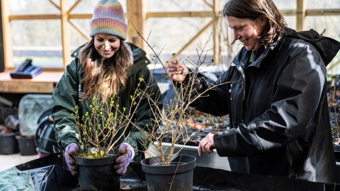 Two people tend to saplings in pots at the tree nursey at Ty Mawr Farm, Bannau Brycheiniog (Brecon Beacons)